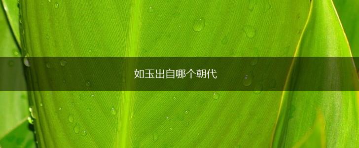 如玉出自哪个朝代,第1张