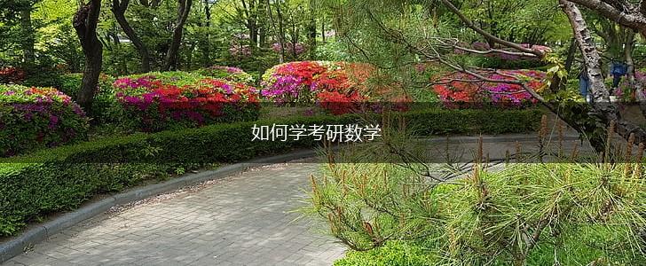 如何学考研数学,第1张