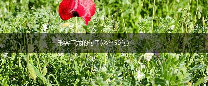 形容巨龙的句子(必备50句),第1张