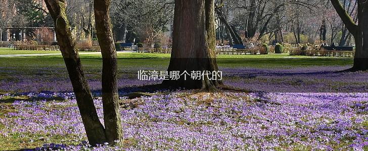 临漳是哪个朝代的,第1张