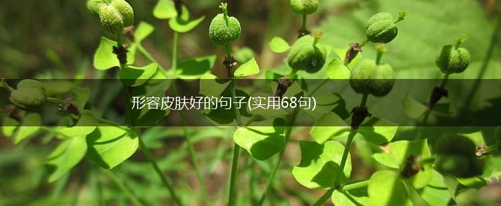 形容皮肤好的句子(实用68句),第1张