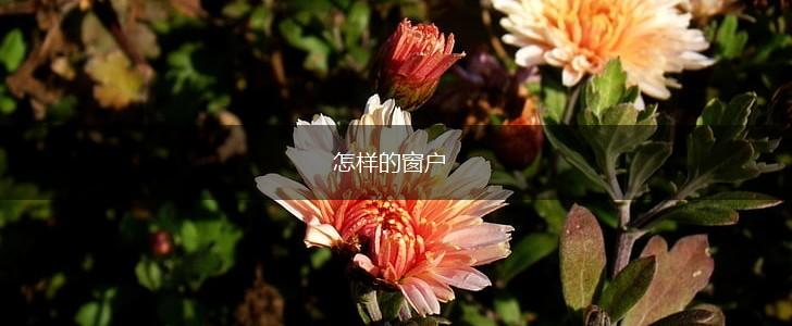怎样的窗户,第1张