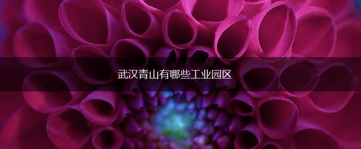 武汉青山有哪些工业园区,第1张