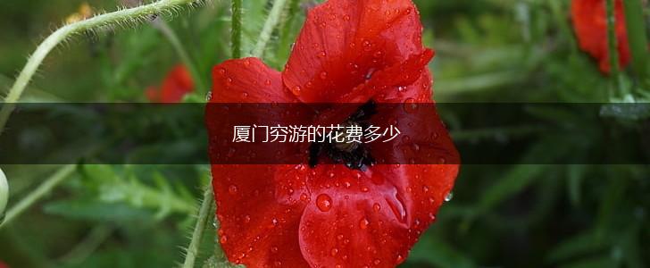 厦门穷游的花费多少,第1张