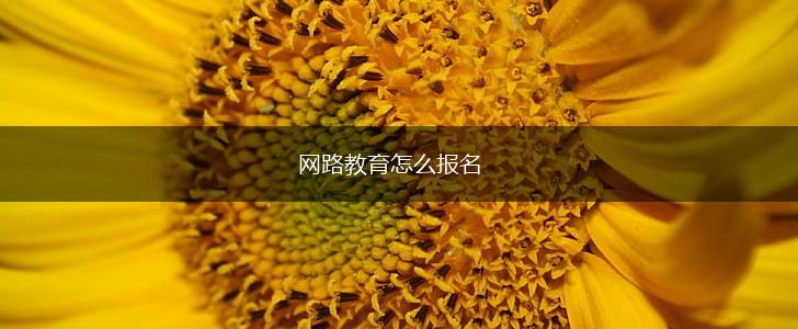 网路教育怎么报名,第1张
