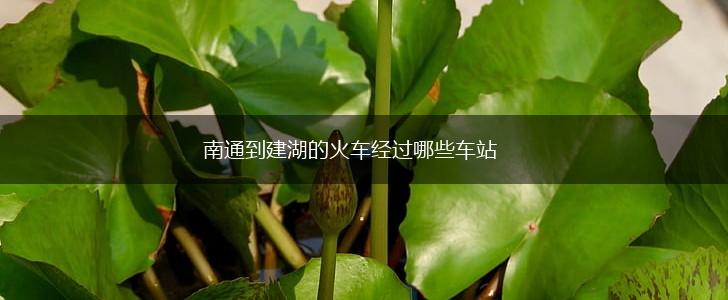 南通到建湖的火车经过哪些车站,第1张