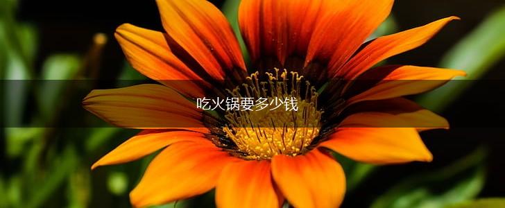 吃火锅要多少钱,第1张