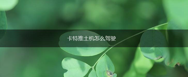 卡特推土机怎么驾驶,第1张