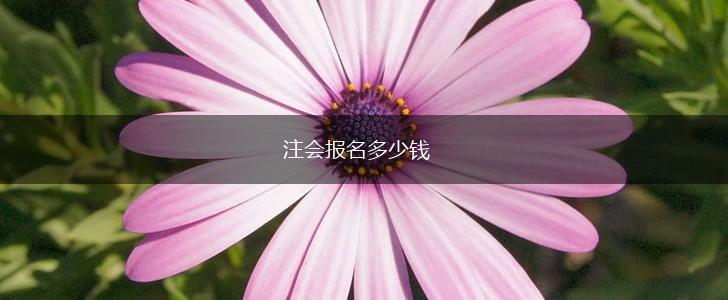 注会报名多少钱,第1张