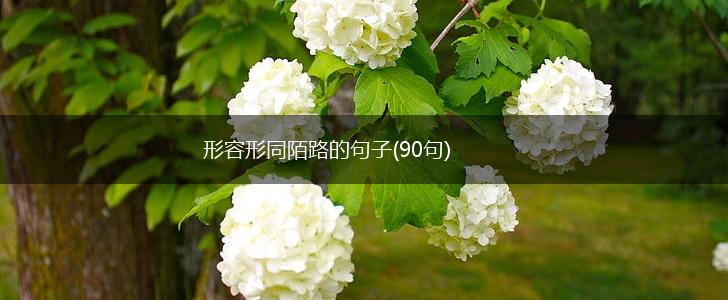 形容形同陌路的句子(90句),第1张
