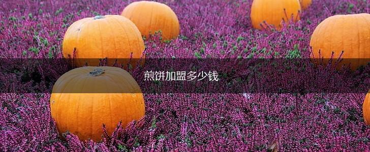 煎饼加盟多少钱,第1张