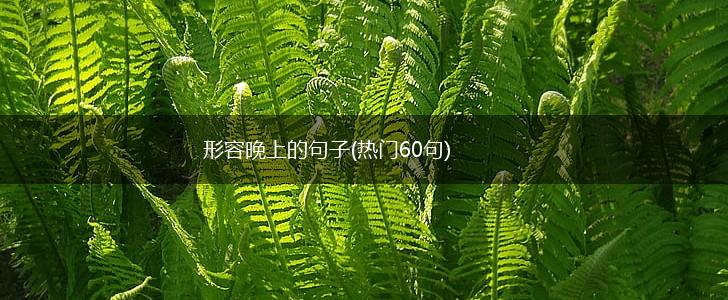 形容晚上的句子(热门60句),第1张