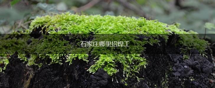 石家庄哪里招焊工,第1张