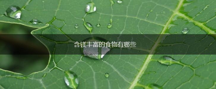 含镁丰富的食物有哪些,第1张