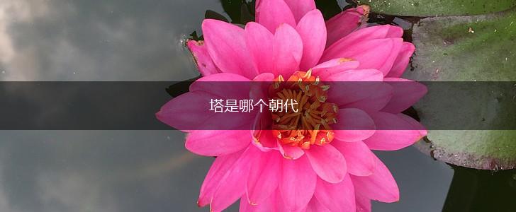 塔是哪个朝代,第1张
