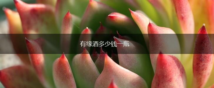 有缘酒多少钱一瓶,第1张