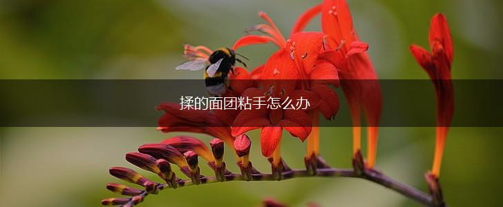 揉的面团粘手怎么办,第1张