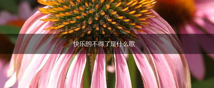 快乐的不得了是什么歌,第1张