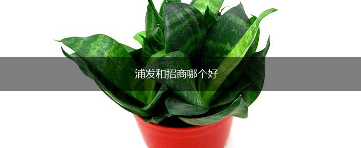浦发和招商哪个好,第1张