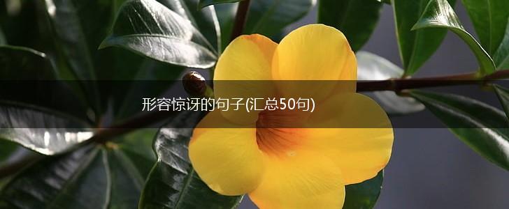 形容惊讶的句子(汇总50句),第1张