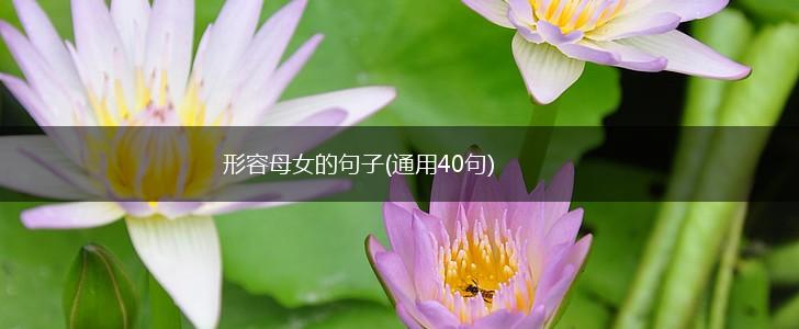形容母女的句子(通用40句),第1张