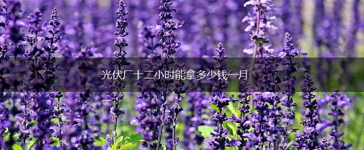光伏厂十二小时能拿多少钱一月,第1张