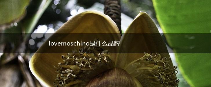 lovemoschino是什么品牌,第1张