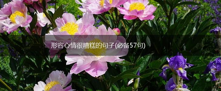 形容心情很糟糕的句子(必备57句),第1张
