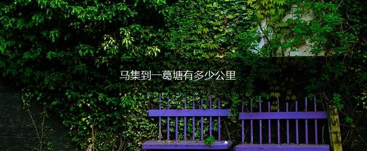 马集到一葛塘有多少公里,第1张
