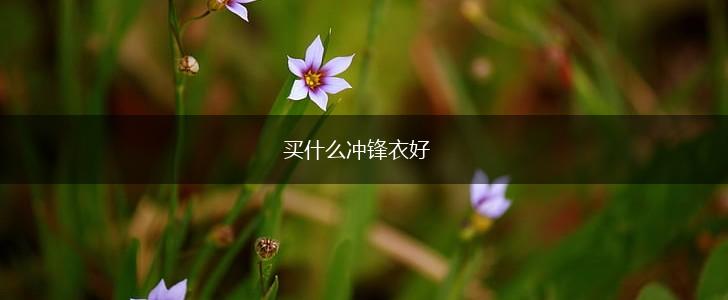 买什么冲锋衣好,第1张