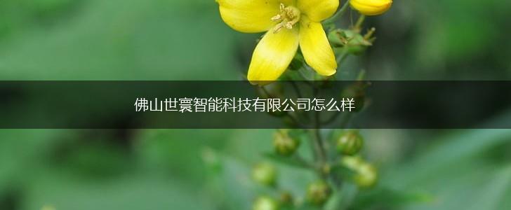 佛山世寰智能科技有限公司怎么样,第1张