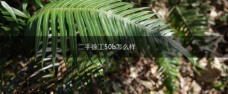 二手徐工50b怎么样,第1张