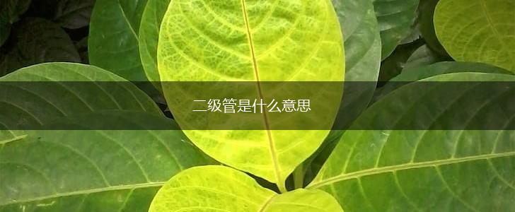二级管是什么意思,第1张
