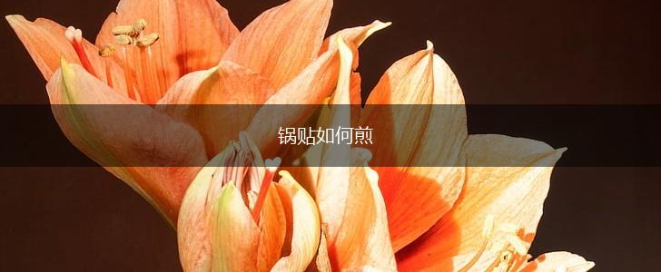 锅贴如何煎,第1张
