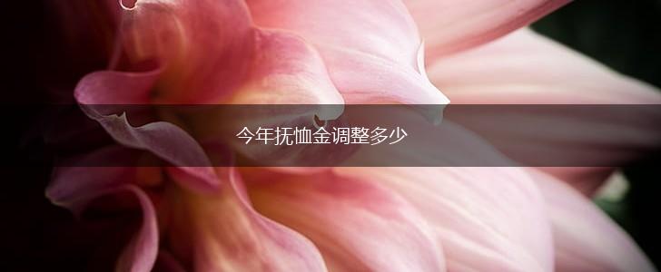 今年抚恤金调整多少,第1张
