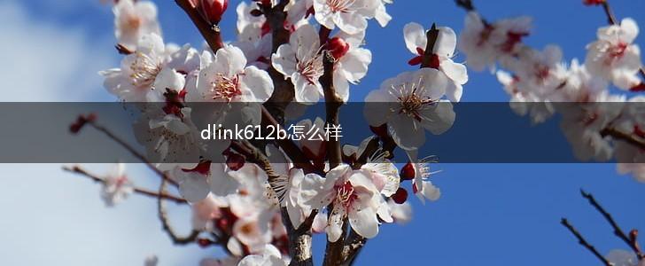 dlink612b怎么样,第1张