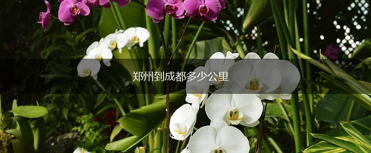 郑州到成都多少公里,第1张