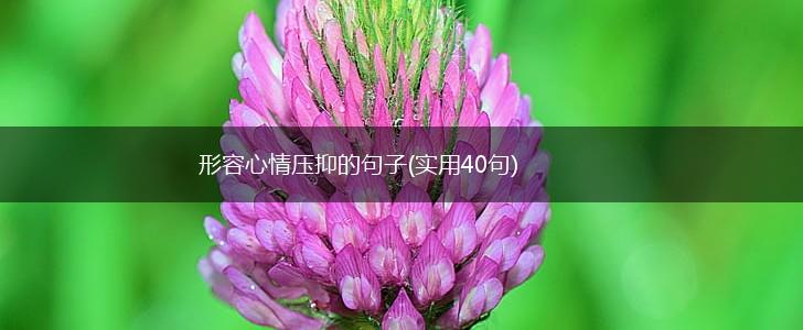 形容心情压抑的句子(实用40句),第1张