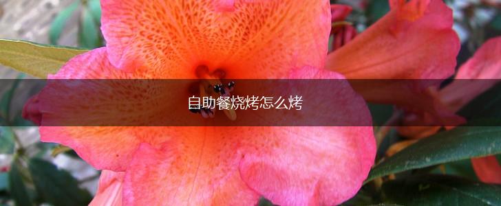 自助餐烧烤怎么烤,第1张