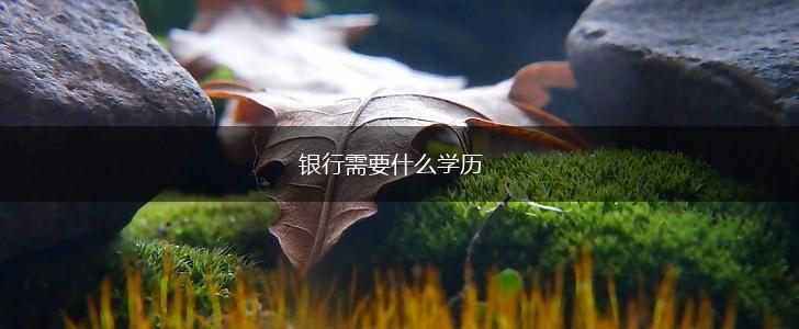 银行需要什么学历,第1张