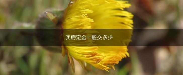 买房定金一般交多少,第1张
