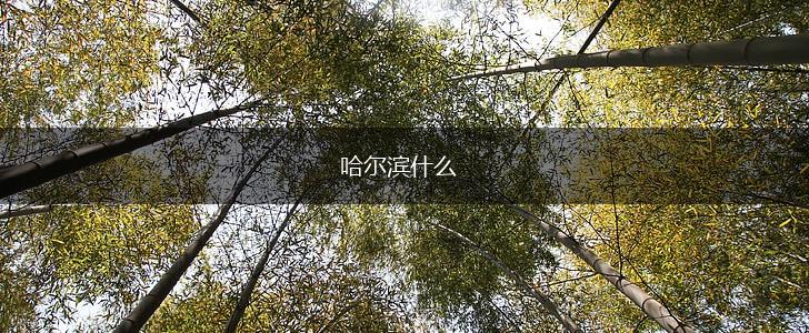 哈尔滨什么,第1张