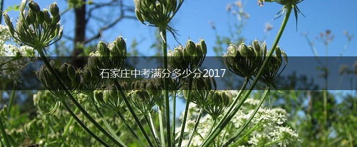 石家庄中考满分多少分2017,第1张