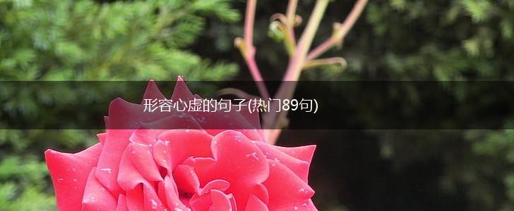 形容心虚的句子(热门89句),第1张