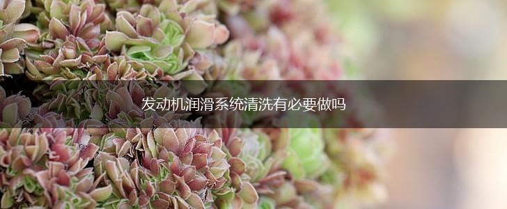 发动机润滑系统清洗有必要做吗,第1张