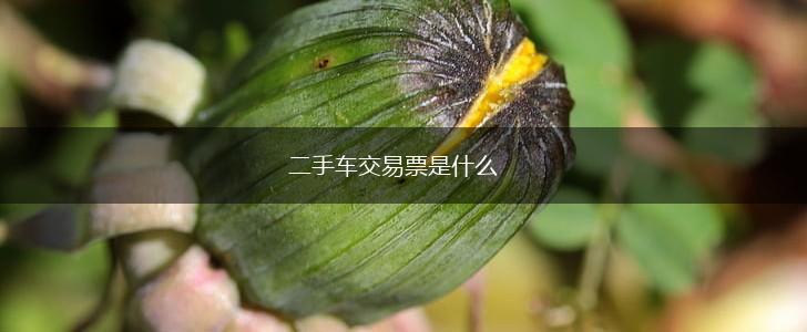 二手车交易票是什么,第1张