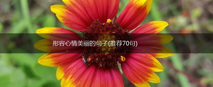 形容心情美丽的句子(推荐70句),第1张