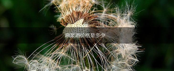 原浆酒价格是多少,第1张