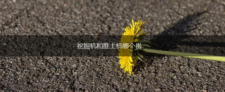 挖掘机和推土机哪个贵,第1张