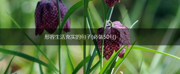 形容生活充实的句子(必备50句),第1张